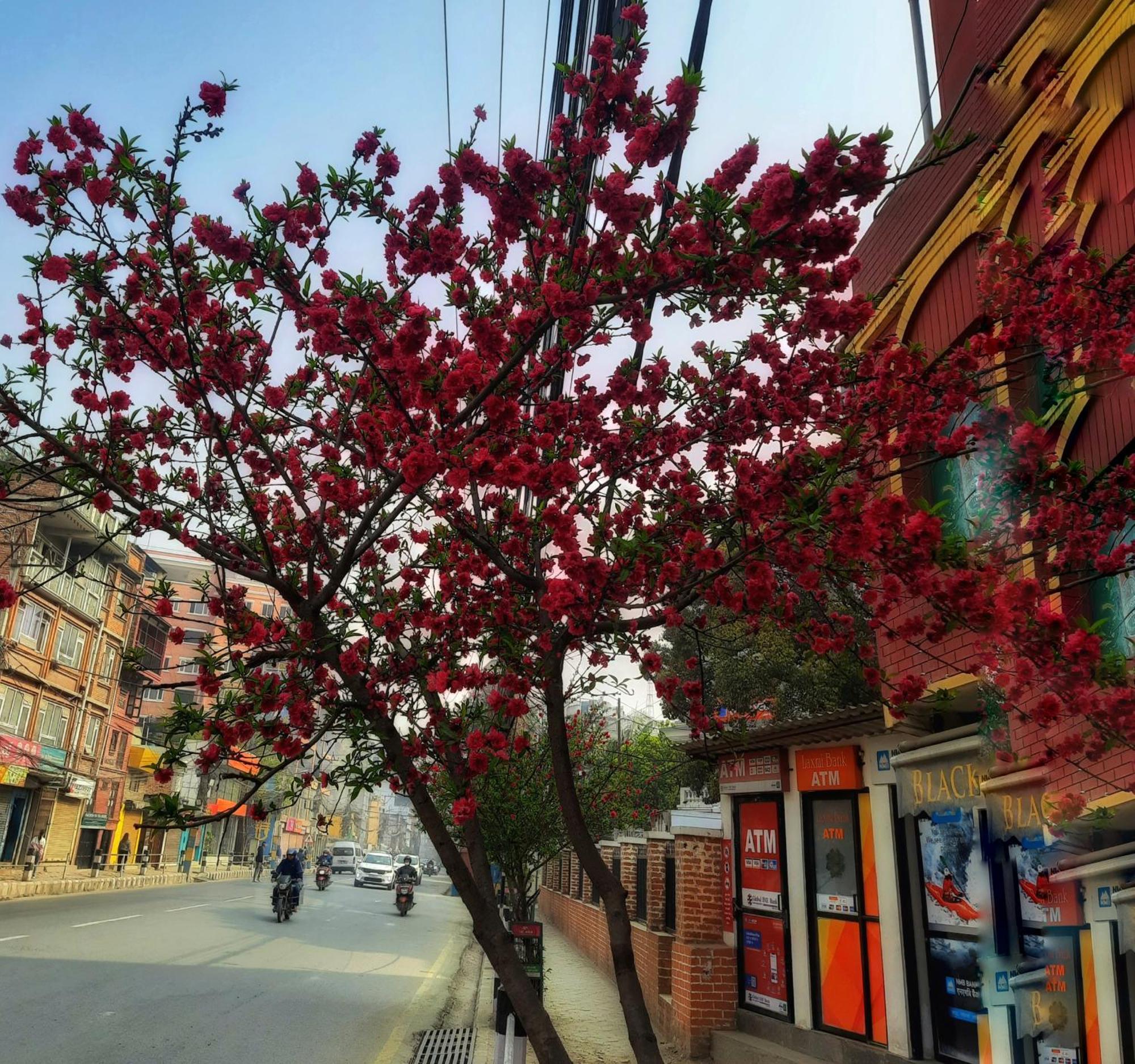 Best Hostel Kathmandu Exterior photo
