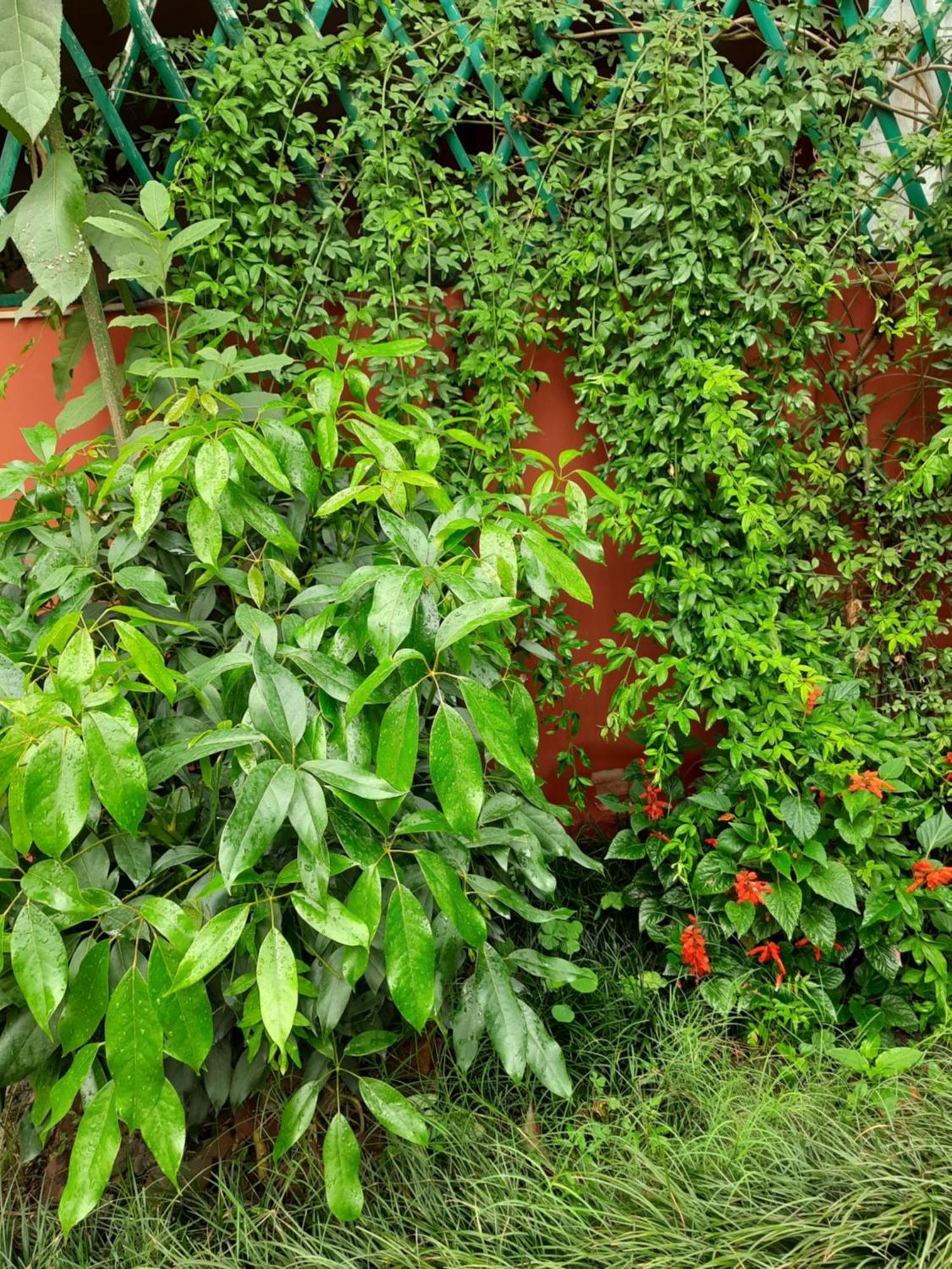 Best Hostel Kathmandu Exterior photo
